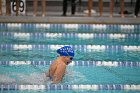 Swim vs Bentley  Wheaton College Swimming & Diving vs Bentley University. - Photo by Keith Nordstrom : Wheaton, Swimming & Diving